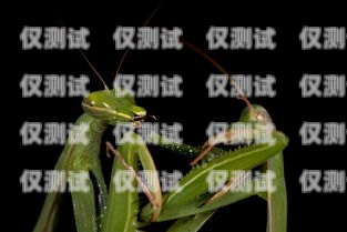 巧用螳螂外呼系統(tǒng)，實(shí)現(xiàn)星號(hào)轉(zhuǎn)數(shù)字的便捷操作螳螂科技外呼系統(tǒng)