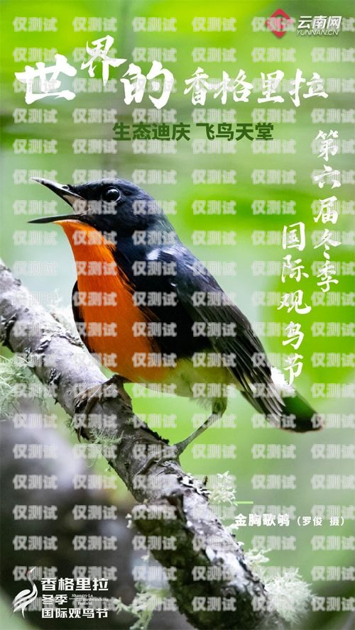 訓(xùn)鳥外呼系統(tǒng)，助力鳥類訓(xùn)練的創(chuàng)新工具飛鳥外呼