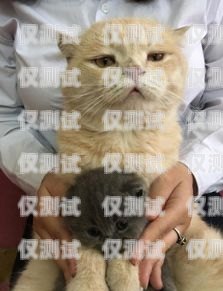 藍貓電銷卡的使用指南藍貓電銷卡怎么用的啊知乎