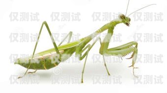 螳螂科技外呼系統密碼忘了怎么辦？螳螂外呼系統價格