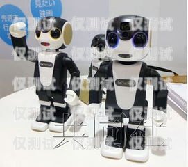 電話機器人的制作與應用電話機器人怎么弄得出來