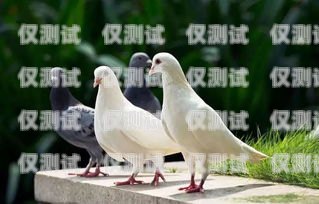 飛鴿外呼系統好不好用呀？飛鴿外呼系統好不好用呀