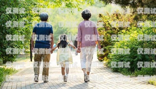 湘西外呼調研系統，提升調研效率與質量的利器湘西外事局