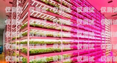 電銷機器人自動化數據統計，提升效率與精準度的關鍵電銷機器人自動化數據統計圖