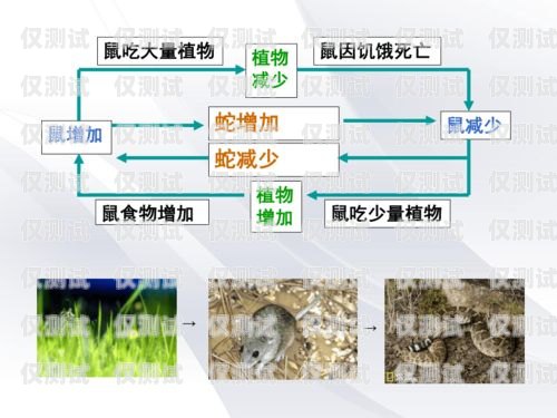 沈陽外呼系統穩定嗎？沈陽外呼公司