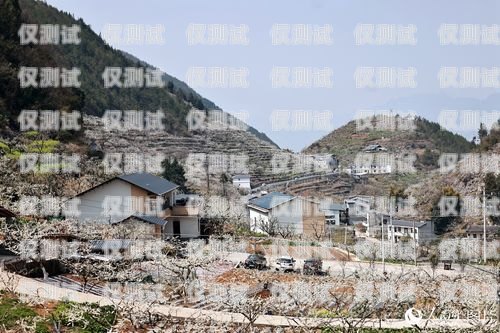 巫溪外呼電話系統怎么用巫溪外賣網