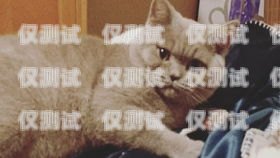 藍貓電銷卡使用指南藍貓電銷卡怎么樣使用教程視頻