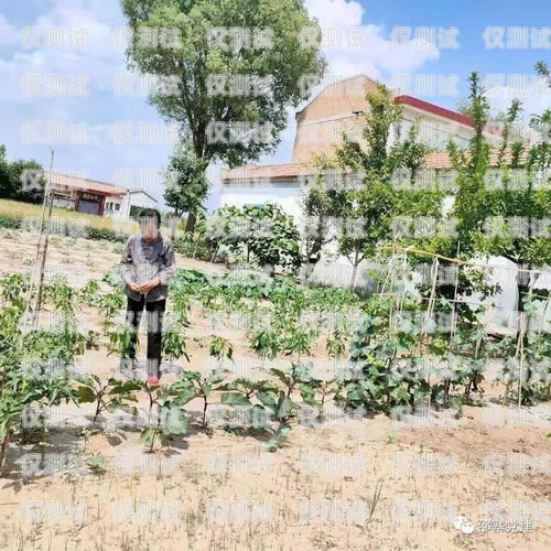 承德外呼系統哪家好？承德縣呼叫中心