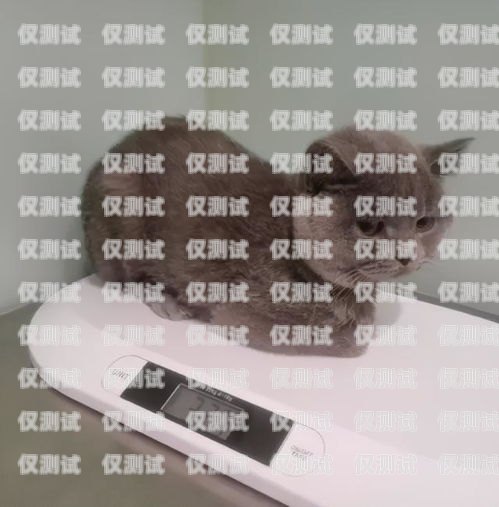 藍貓電銷卡激活要錢嗎？藍貓電銷卡激活要錢嗎安全嗎