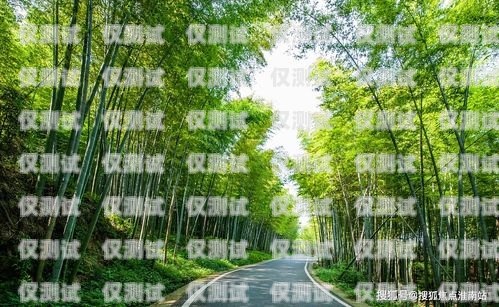 瀘水電話外呼銷售系統——提升銷售效率的利器