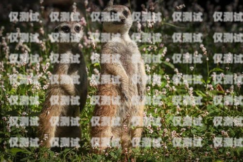 長(zhǎng)沙銷售外呼系統(tǒng)價(jià)格外呼系統(tǒng)銷售好做嗎