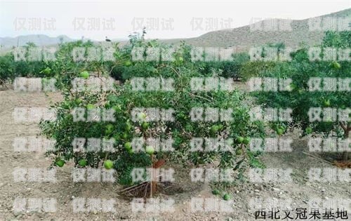 百應電銷機器人哪個好？如何選擇最適合你的電銷機器人百應電銷機器人好用嗎