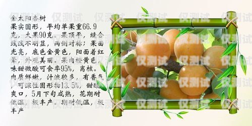 濟(jì)南網(wǎng)絡(luò)外呼系統(tǒng)價(jià)錢濟(jì)南外呼公司業(yè)務(wù)外包