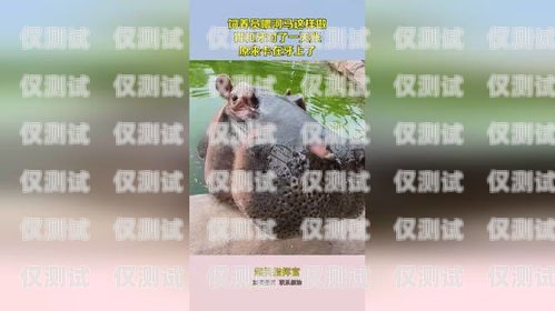河馬電銷卡是什么卡類型河馬電銷卡是什么卡類型的