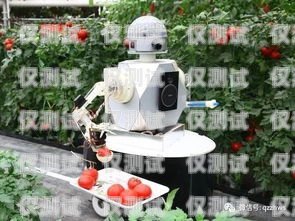 龍里縣電話機器人價格比較，哪家更便宜？機器人電話多少錢